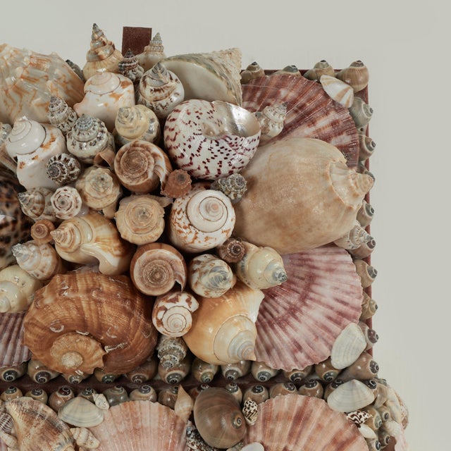 Tan Vintage Seashell Encrusted Box Inbox For Sale - Image 8 of 12
