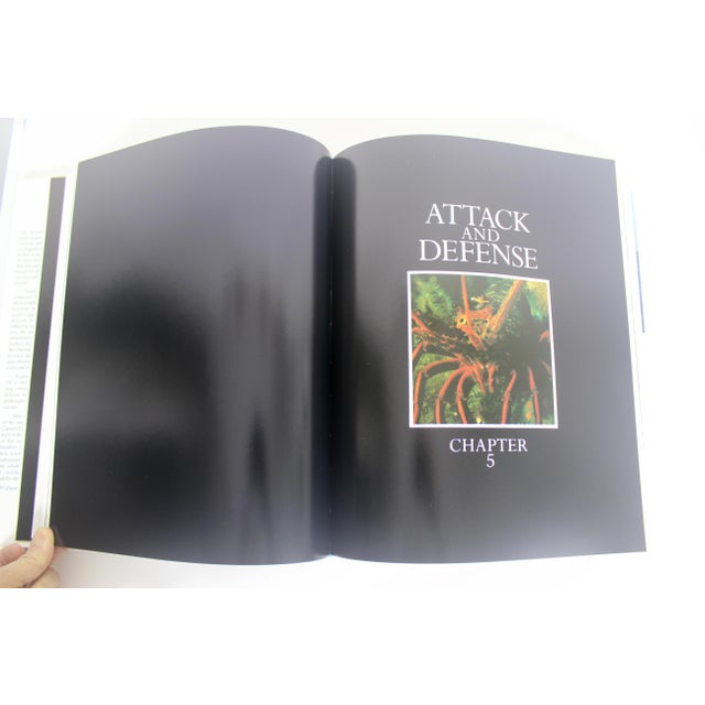 Jacques Cousteau The Ocean World 1985 Hardcover coffee table book with dust jacket. Excellent vintage condition with some...