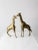 Metal Mid Century Brass Giraffes Pair For Sale - Image 7 of 13