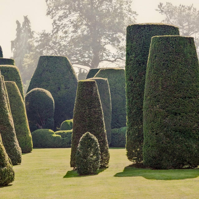 Not Yet Made - Made To Order Guy Sargent, Le Jardin IV, Photograph For Sale - Image 5 of 6