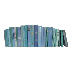 Decorative Books - Vintage Island Books - 1 Foot of Blue Books
