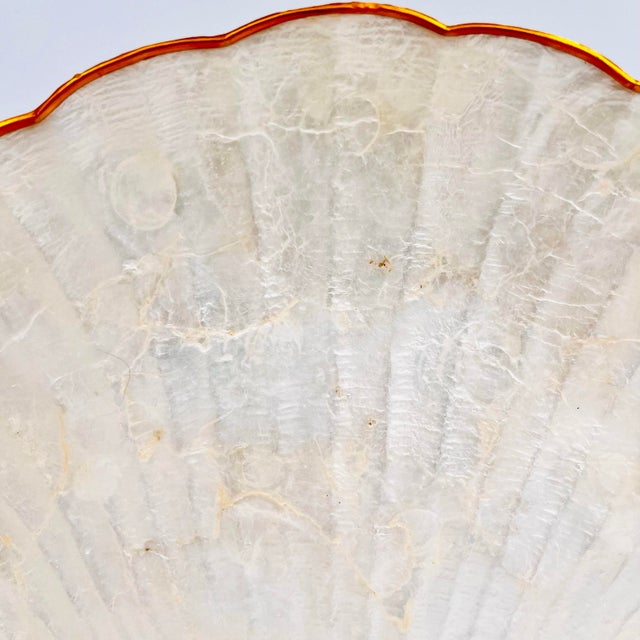 Mid 20th Century Capiz Shell Scallop Shell Tray With Brass Trim Large 11" For Sale In New York - Image 6 of 7