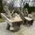 Specimen Carved Driftwood Outdoor Chair For Sale - Image 9 of 9