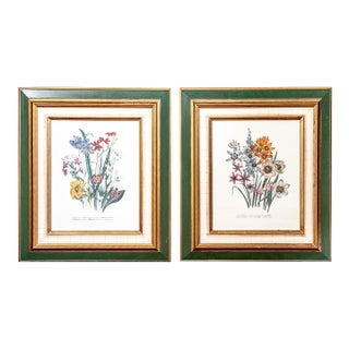 Late 20th Century Jane Webb Loudon Framed Vintage Botanical Prints by John Richard - A Pair For Sale