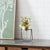 2020s Hanging Glass Jar Vase with Metal Stand (Set of 2) For Sale - Image 5 of 8