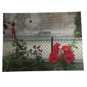 Boy With Green Ball and Red Roses, Paris Photograph by Louise Weinberg
