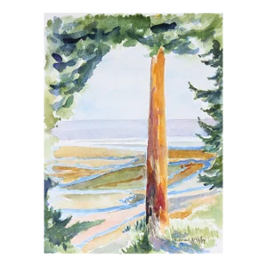 Looking Down on Skagit River Flats 20th Century Watercolor
