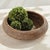 Wood Burma Rattan Shallow Display Bowls, Set Of 2 For Sale - Image 7 of 9