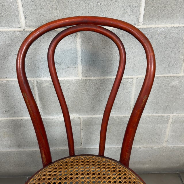 Vintage Chairs in Bent Wood and Vienna Straw, 1960s, Set of 2 For Sale - Image 6 of 13