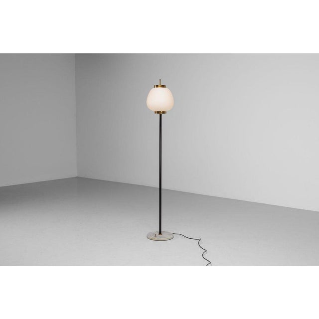 Metal Standard Floor Lamp by Bruno Gatta for Stilnovo, 1951 For Sale - Image 7 of 15