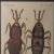 Bertuch Insects Wheat Weevil C. 1790s For Sale - Image 4 of 6