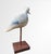 Signed Mark S. McNair Black-Bellied Plover Shorebird Carving For Sale - Image 6 of 9