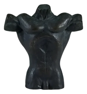 Solid Bronze Male Torso