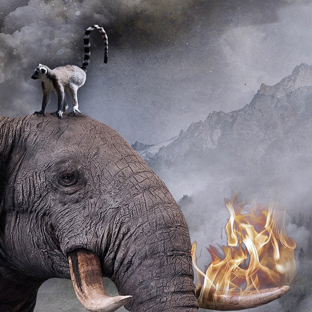 This work presents a surreal landscape where an elephant, engulfed in flames, stands majestically in a tranquil body of...