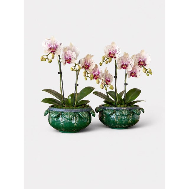 Pair of Early 20th Century Green Glazed Sculptural Leaf Motif Garden Planters For Sale - Image 12 of 12