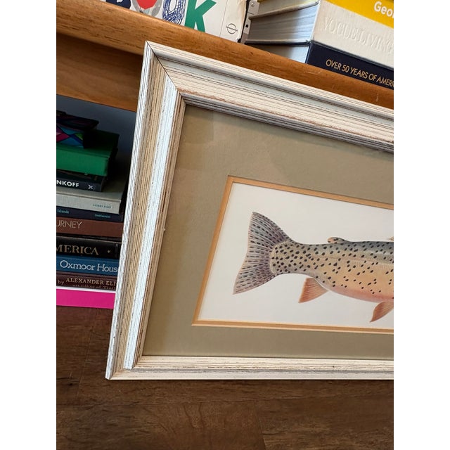 Ivory Vintage Framed Trout Fish Prints Cabin Coastal Wall Art - A Pair For Sale - Image 8 of 11