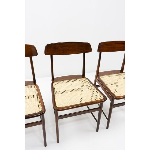 Lucio Side Chair by Sergio Rodrigues for Oca Brazil, 1950s For Sale - Image 9 of 18