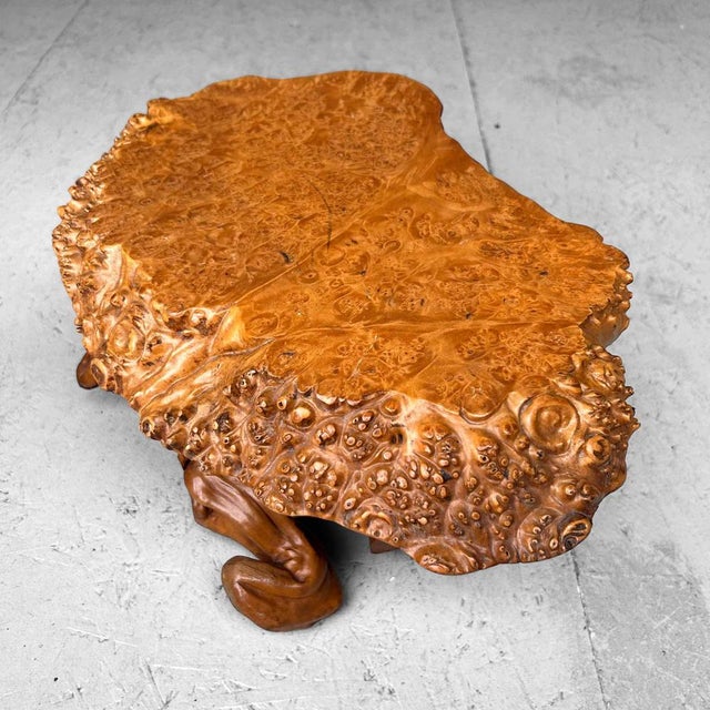 Mid-Century Yakusugi (Yakusugi) Burl Wood Plant Stand, Japan, 1940s For Sale - Image 10 of 14