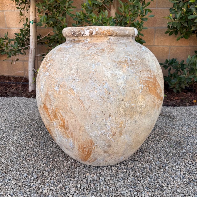 Sculpture Materials European Style Olive Pot in the Biot Jarre Style For Sale - Image 7 of 8