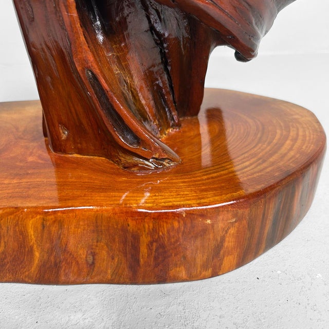 Wood Japanese Rootwood Display Keyaki, 1970s For Sale - Image 7 of 18