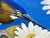 Original painting signed Theo Dodge, lower right. Green (Blue) heron on a branch with white water lilies and a dragonfly,...