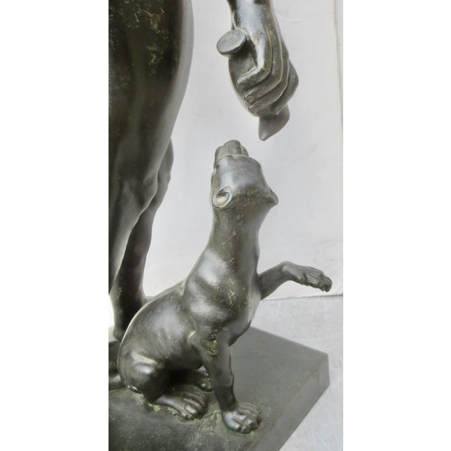 Grand Tour Bronze the Satyr Silenus For Sale - Image 10 of 14