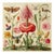 French Country Insects and Flowers – Natural History Fine Art Print For Sale - Image 3 of 3