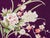 Japanese Ceremonial Silk Wall Tapestry by Renaras For Sale - Image 4 of 5