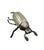 1950s Silver Insect Shaped Ashtray / Box, France 1950s For Sale - Image 5 of 11