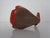 Red Ceramic Fish Ashtray, Italy, 1960s For Sale - Image 12 of 14