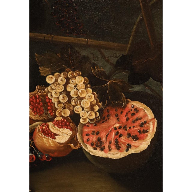 Michele Pace, Detto Michelangelo Del Campidoglio, Cerchia Di, Still Life with Fruit Peace, 1680, Oil on Canvas For Sale - Image 13 of 15