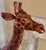 Vintage Giraffe Paper Mache With Leather Hand Painted Tall Statue For Sale - Image 9 of 10