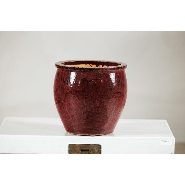 Vintage Chinese Oxblood Glazed Ceramic Planter with Flared Rim For Sale - Image 10 of 18
