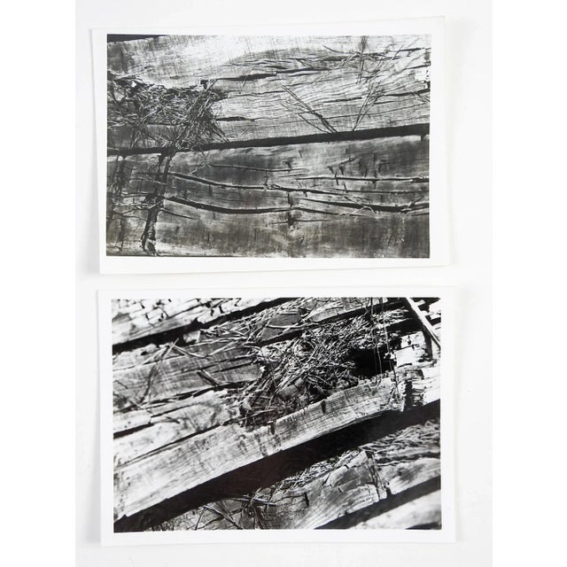 Abstract Wood Photographs - a Pair For Sale - Image 4 of 4