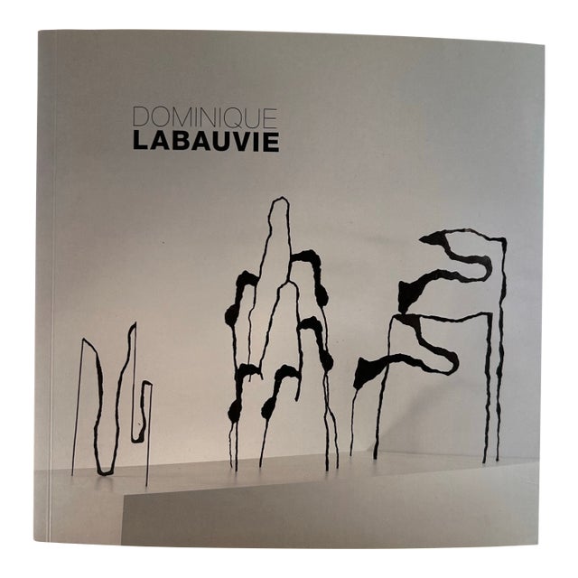 Exhibition Catalog Dominique Labauvie , Tampa Museum of Art, 2011 For Sale