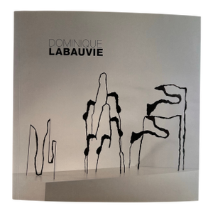 Exhibition Catalog Dominique Labauvie , Tampa Museum of Art, 2011