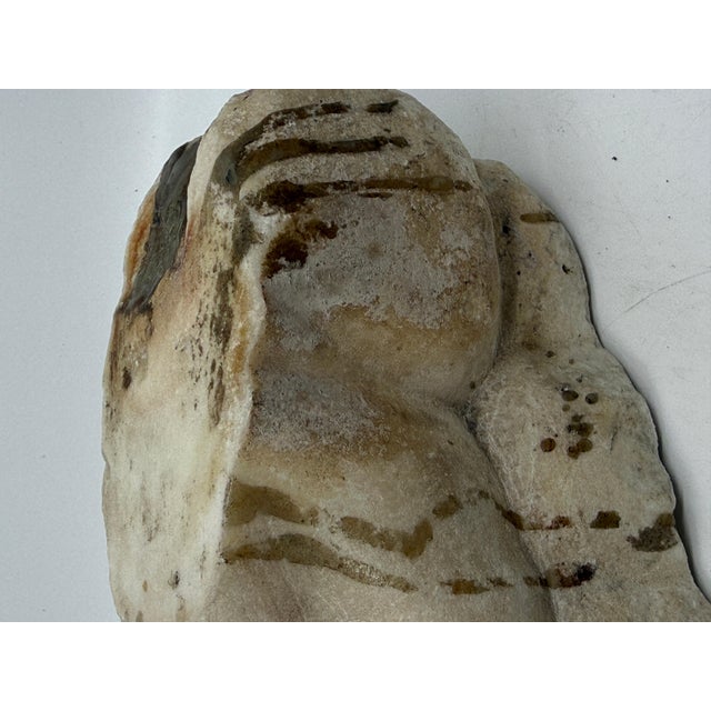 Antique Classical Marble Stone Fragment Lions Claw For Sale - Image 11 of 16