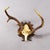 Rustic European Abnorm Black Forest Red Deer Trophy on Carved Plaque Germany 1930s For Sale - Image 3 of 6