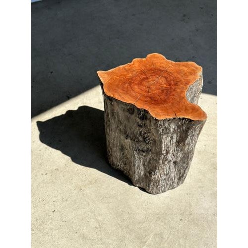 Set of Lychee Stools Forming a Coffee Table For Sale - Image 14 of 18