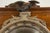 English 1900s Silver Leaf Convex Girandole Bullseye Mirror with Eagle Motif For Sale - Image 11 of 12