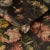 English House of Hackney Midnight Garden Wallpaper - Multi Floral, Sample For Sale - Image 3 of 4