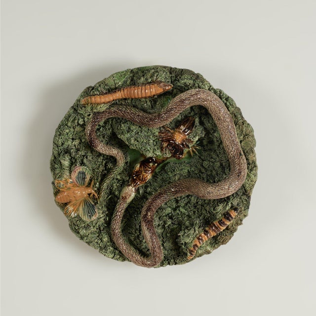 Group of four 19th century Portuguese Palissy earthenware wall plates in assorted sizes with an eccentric mix of snakes,...