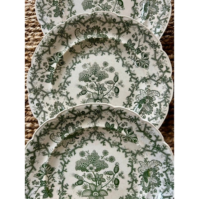 Antique Wedgewood 'Coral Border' Green Transferware 10" Dinner Plates - Set of 12 For Sale - Image 12 of 14