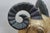 Vintage Indo Persian Carved Wood Ram Head Bust Sculpture on Stand 18" For Sale - Image 9 of 16
