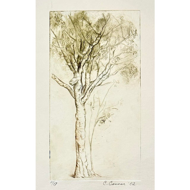 1982 hand drawn, hand etched, hand printed “Sketch of a Tree” from a pencil drawing I made long ago. Only 17 hand prints...