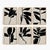 Contemporary Contemporary Botanical Giclee Prints - Set of 6 For Sale - Image 3 of 3