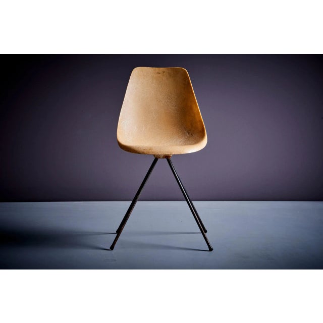 1950s French Fiberglass Chair by Jean-René Picard for S.E.T.A, 1950s For Sale - Image 5 of 13