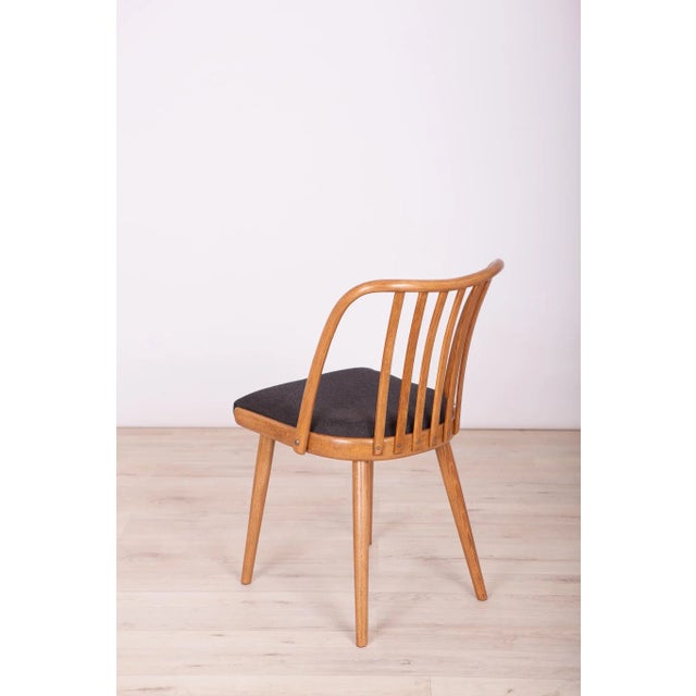 Dining Chairs by Antonín Šuman for TON, 1960s, Set of 4 For Sale - Image 9 of 14