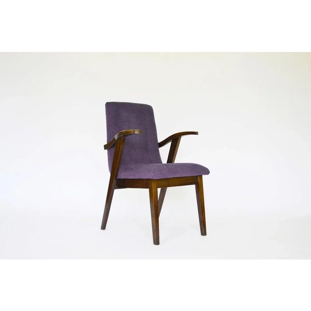 Mid-Century Modern Type 300-123 Armchair by Mieczysław Puchała, 1950s For Sale - Image 3 of 7