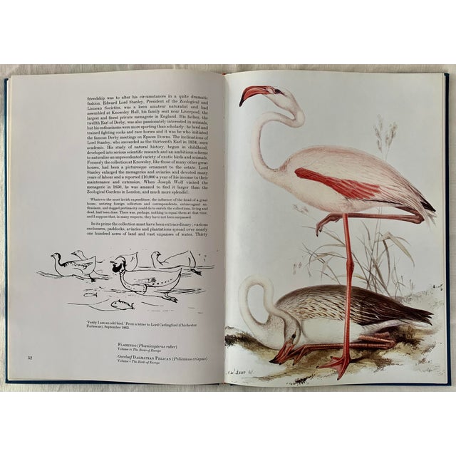 1980s Edward Lear's Birds For Sale In New York - Image 6 of 6